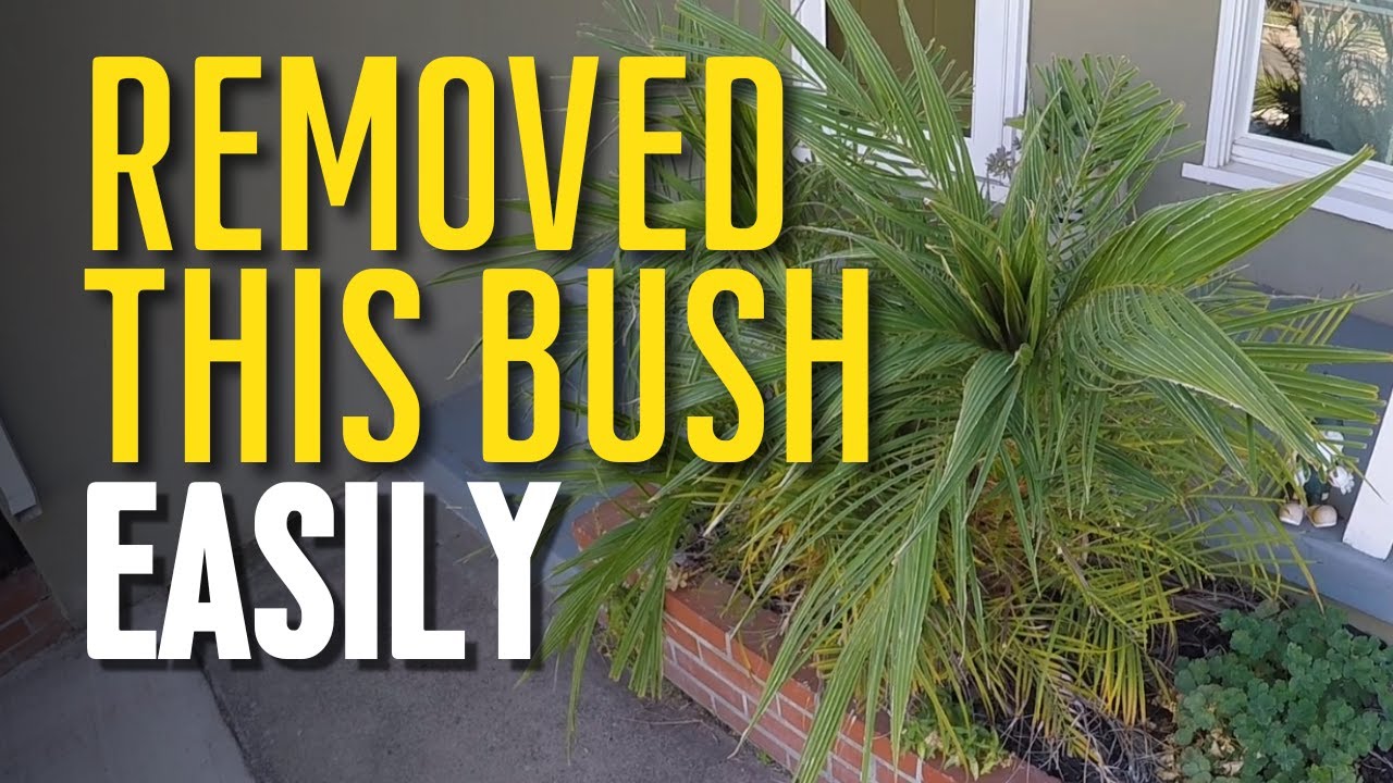 How to Remove a Bush From Your Yard With a Diablo Pruning Blade