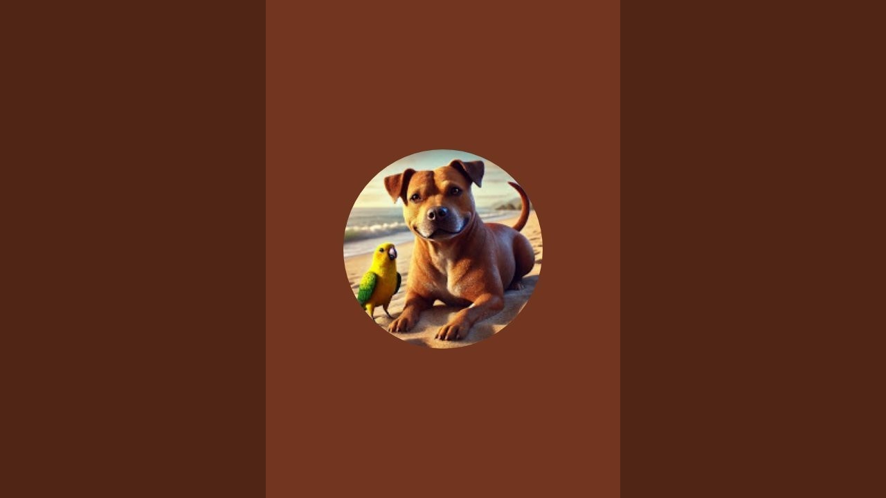 Positive fun vibes. Fun family adventures, dogs, nature, diy crafts, and mindful living!