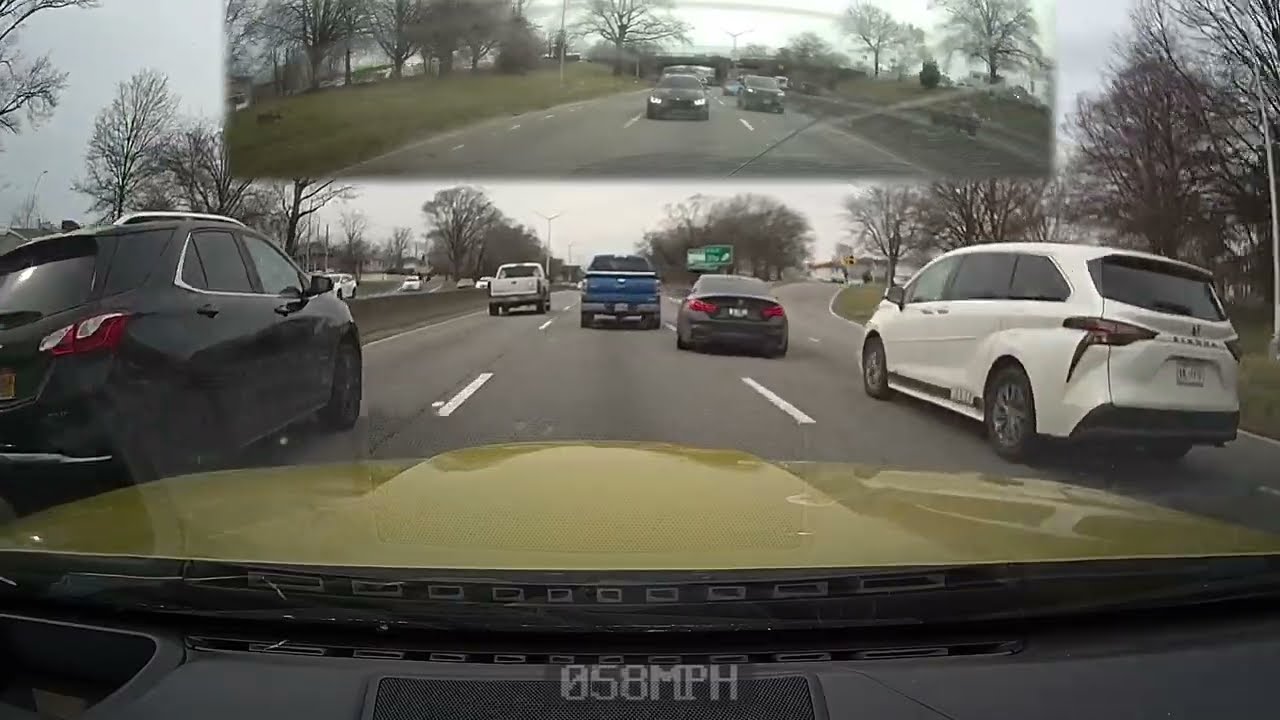 Swimming In HEAVY Traffic W/ 