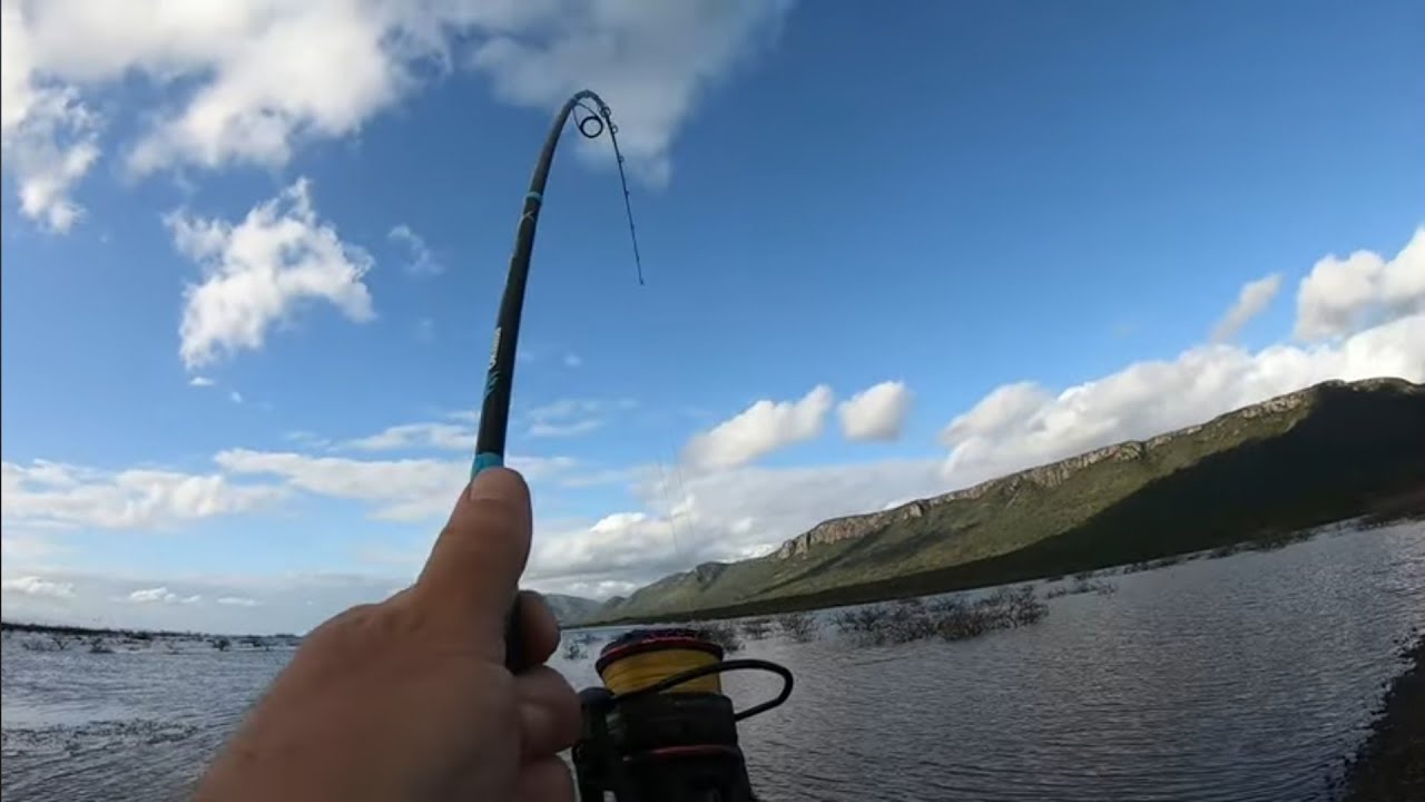 Holiday Option - Jozini Dam - Tiger & Barbel Fishing November