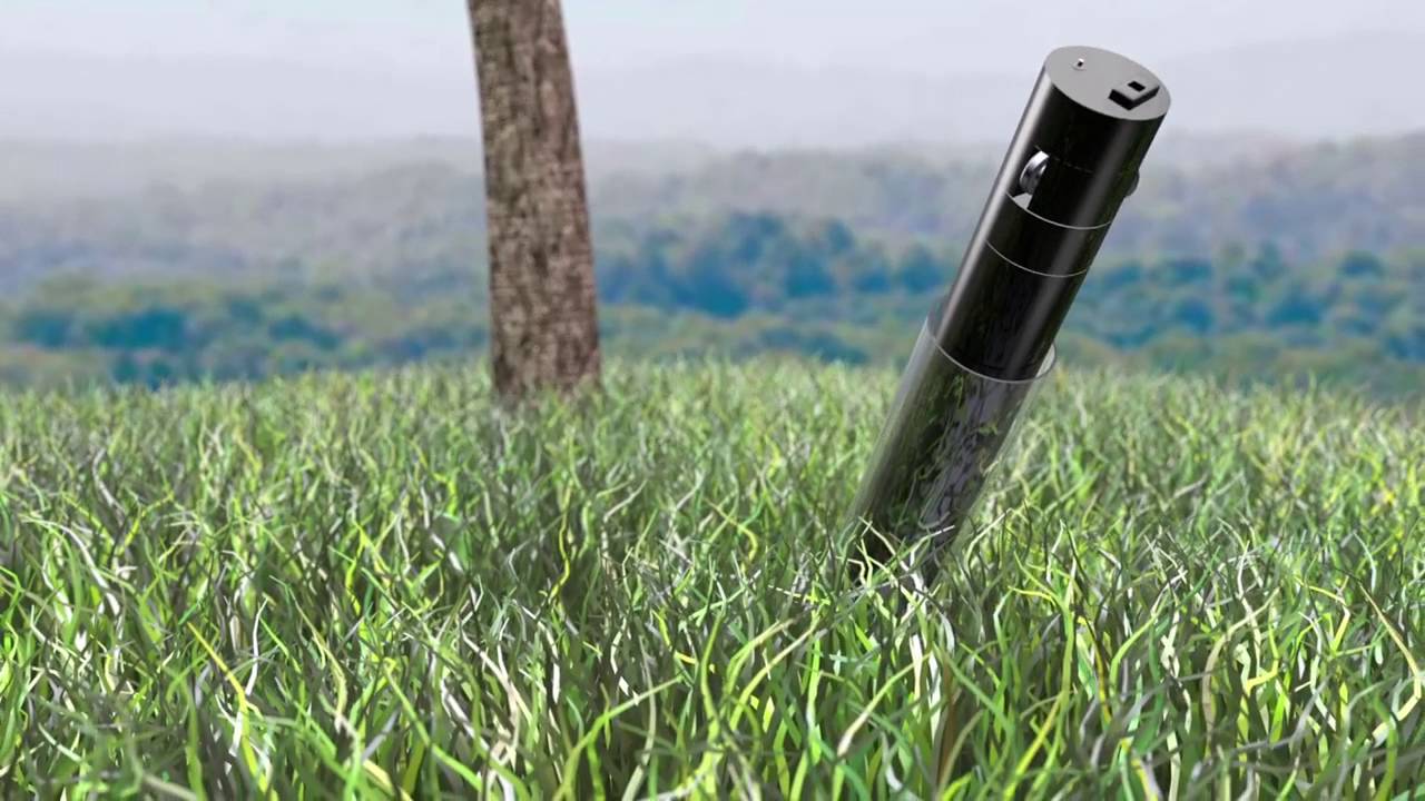 CI 600 In Situ Root Imager Overview