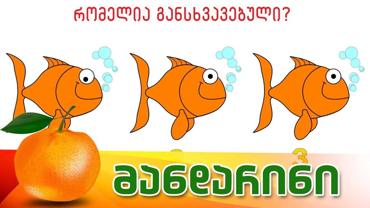 რომელია განსხვავებული? | ტვინის თამაში 01 | ვიდეო #08