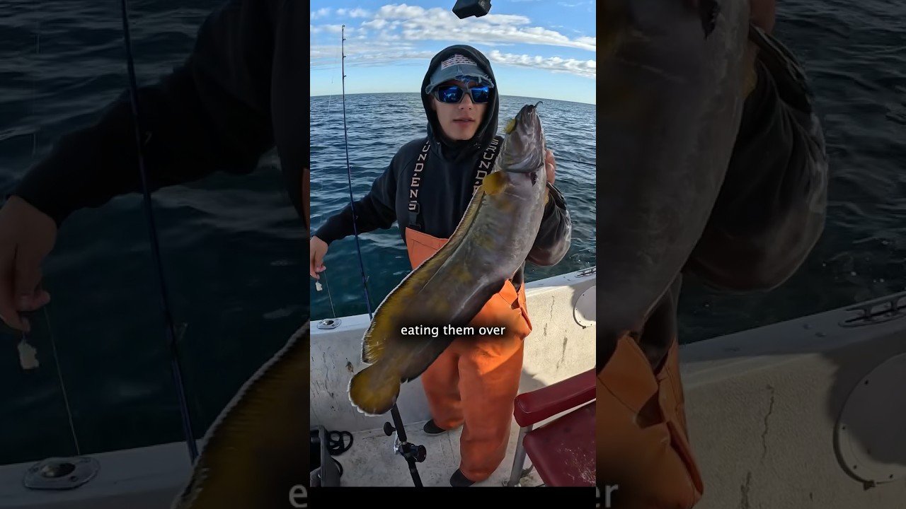Commercial Fisherman DAY IN THE LIFE #shorts #fishing
