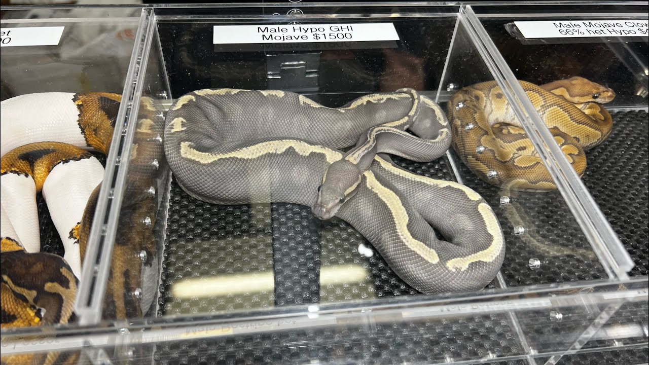 Reptile & Plant Expo