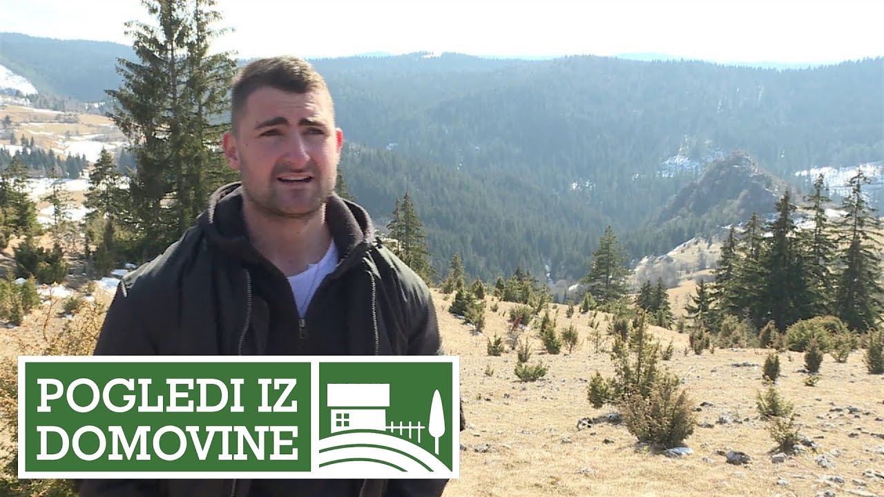 POGLEDI IZ  DOMOVINE - Kozica
