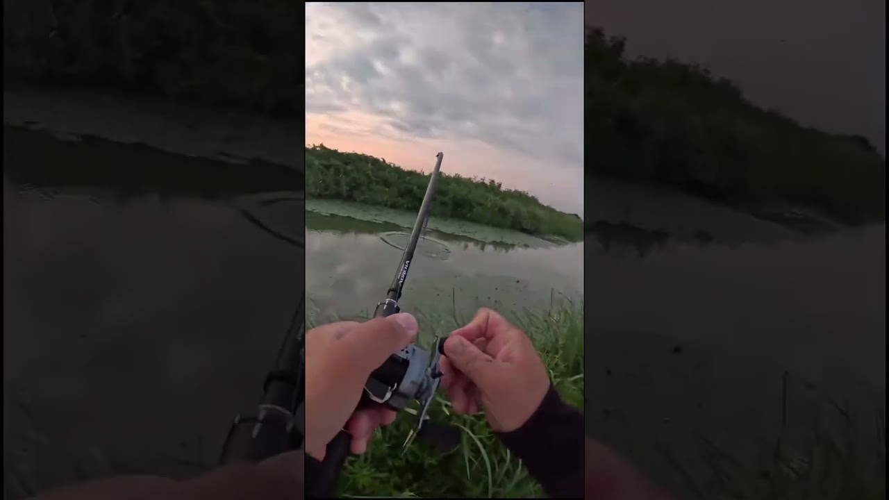 the fish fought so hard that the fishing line broke 