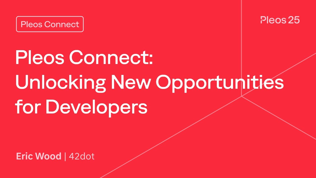 Pleos Connect: Unlocking New Opportunities for Developers | Pleos 25