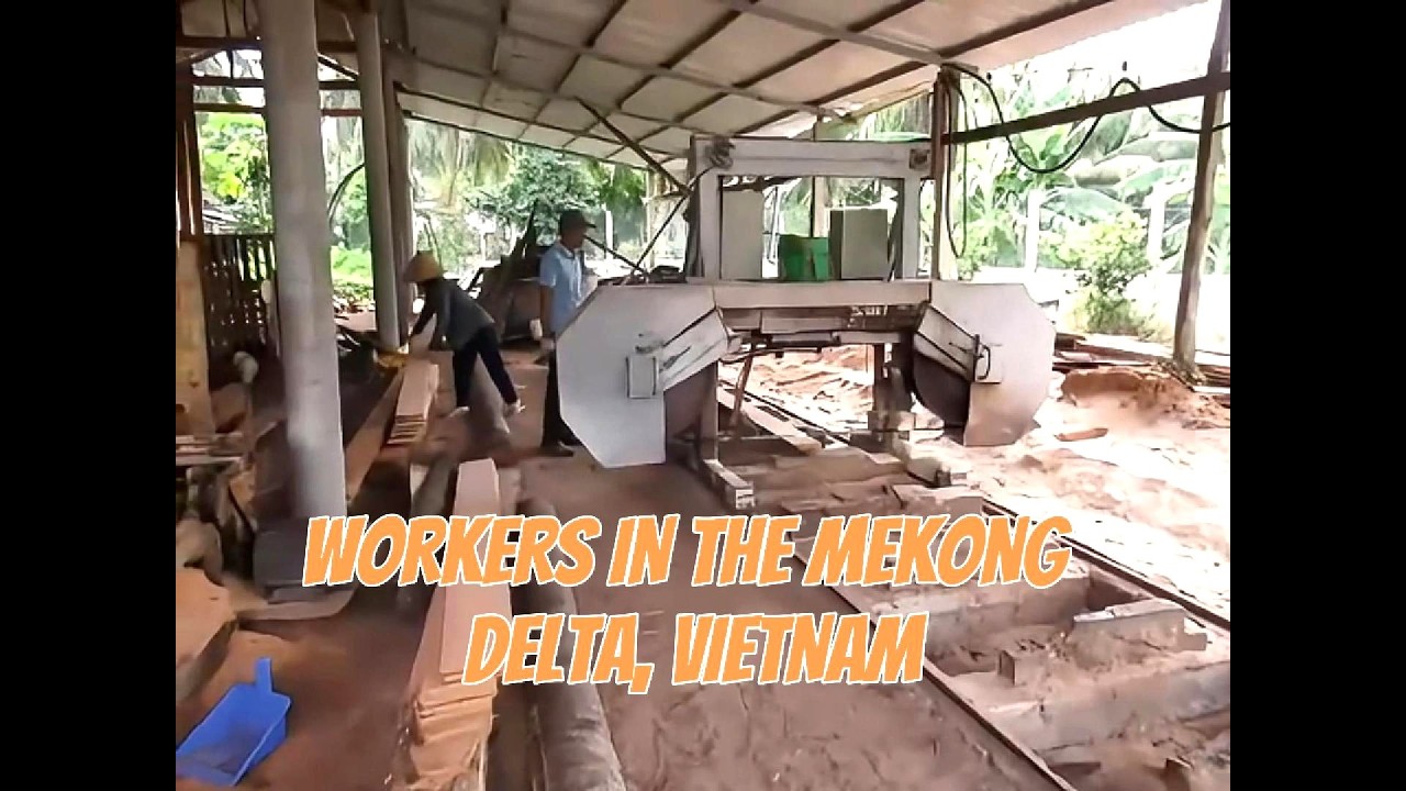 Several workers in the Mekong Delta, Vietnam.