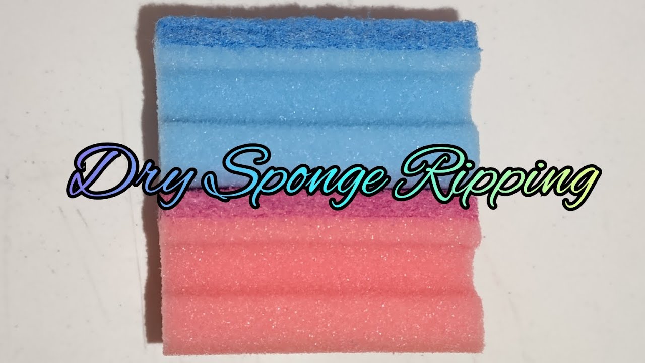 ASMR • Dry Sponge Ripping • 🩵🩷#asmr #dry #sponge 