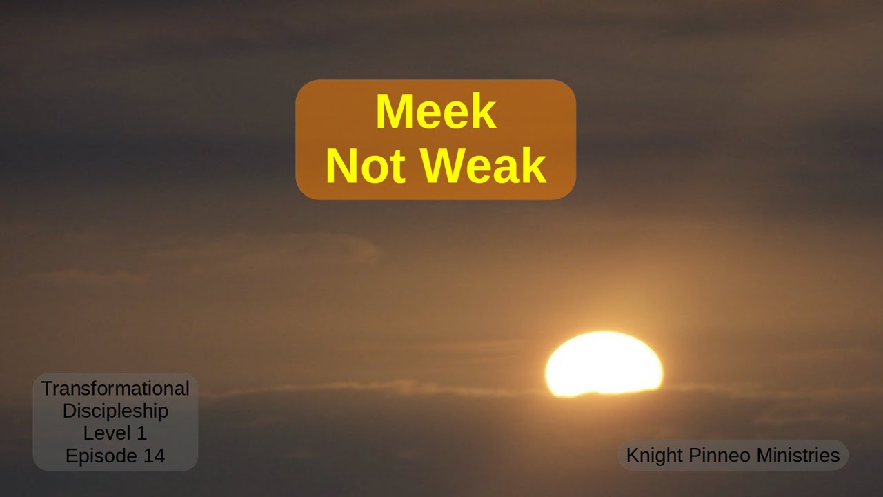 Meek Not Weak!