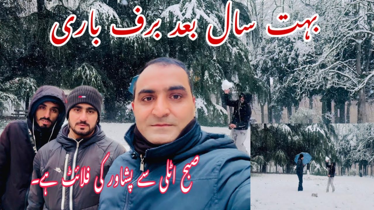 Snowfall January 6, 2026
