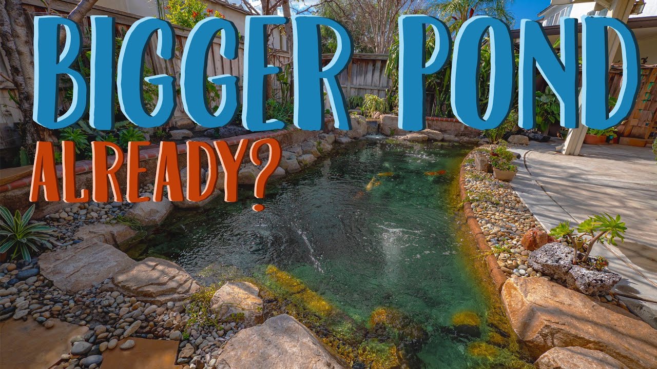 Pond Expansion with Intake Bay, Jets, and BioFalls Upgrade | Flow Landscape