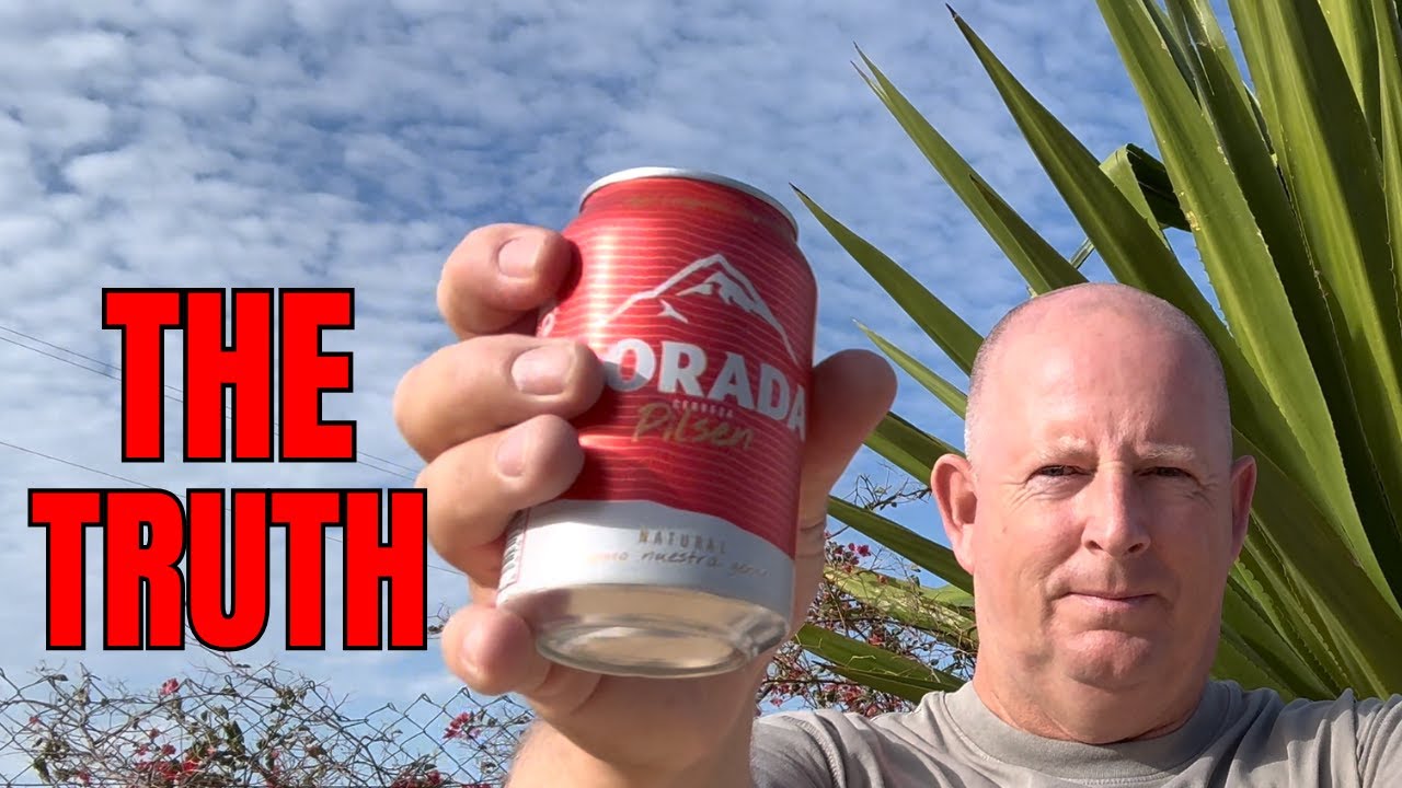 My Relationship With alcohol