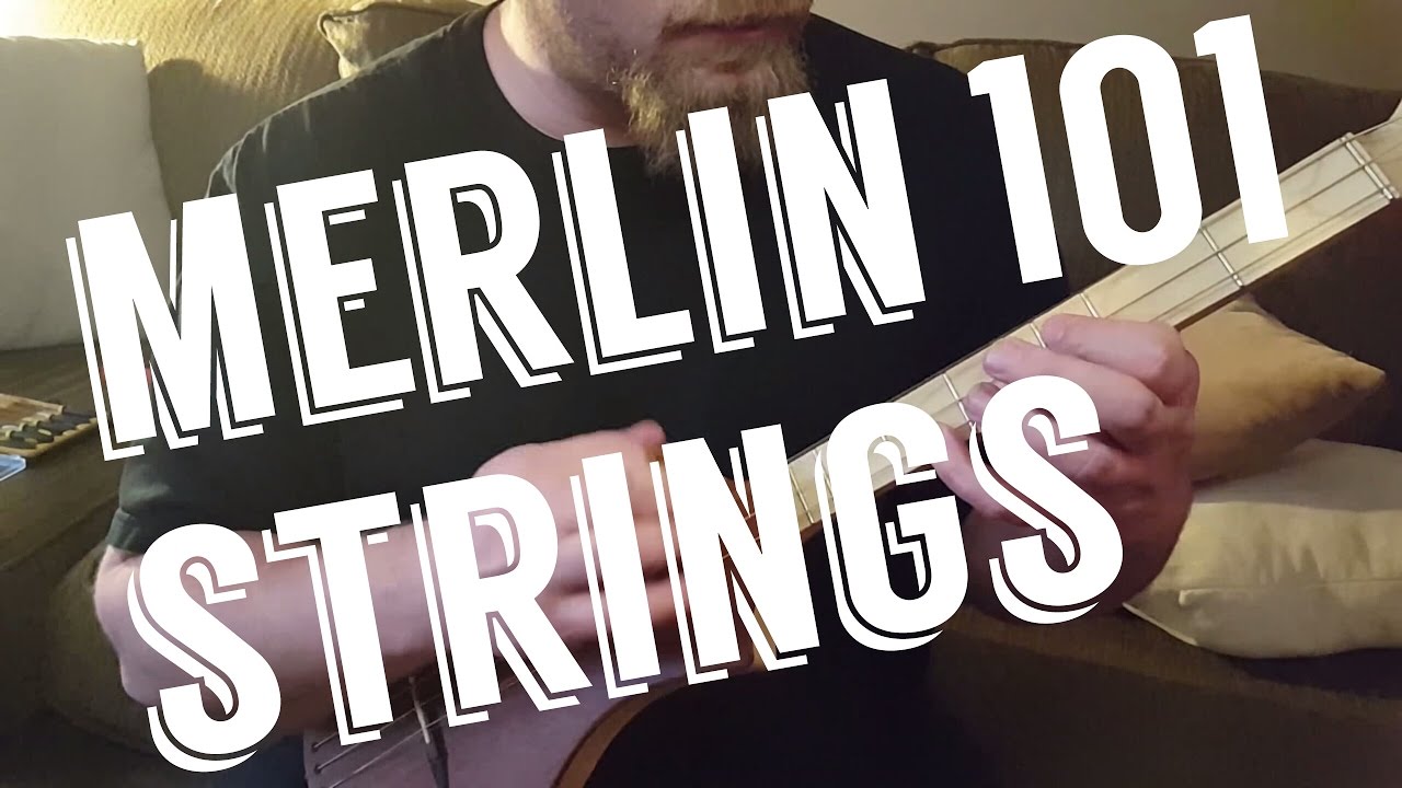 Seagull Merlin 101 - Strings