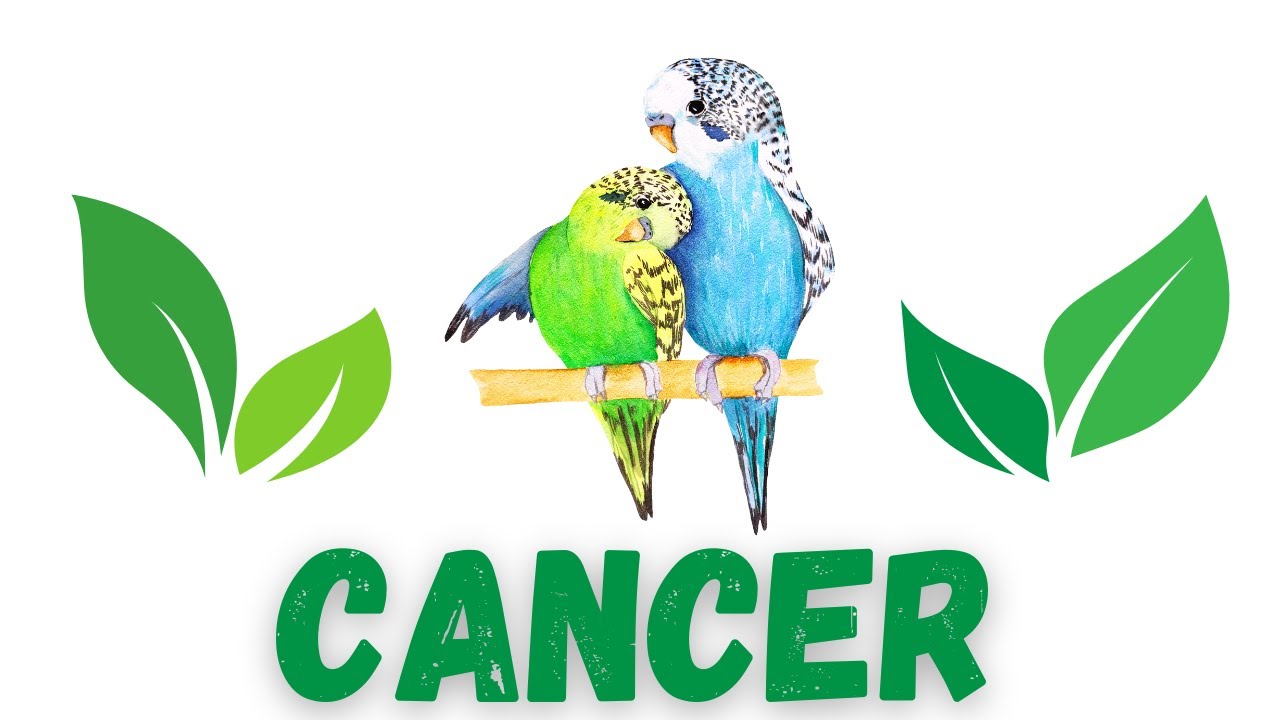 CANCER Ce guérisseur vous révèle toute la vérité 🤩 VOS VOIES S'OUVRENT !!! 😱🤩😱🤩