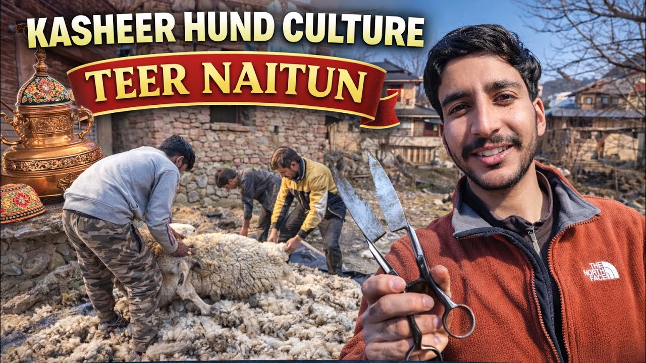 🐑 Sheep rearing isn’t just work in Kashmir — it’s a legacy passed from generations #sheep 