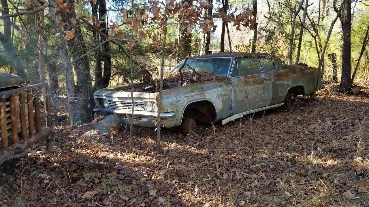A day in a classic 50's and 60' Ford junkyard.