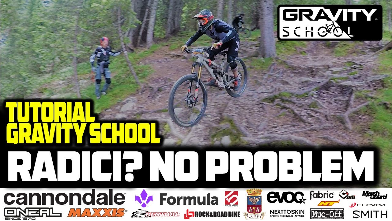 Tutorial Gravity School - Radici? No problem