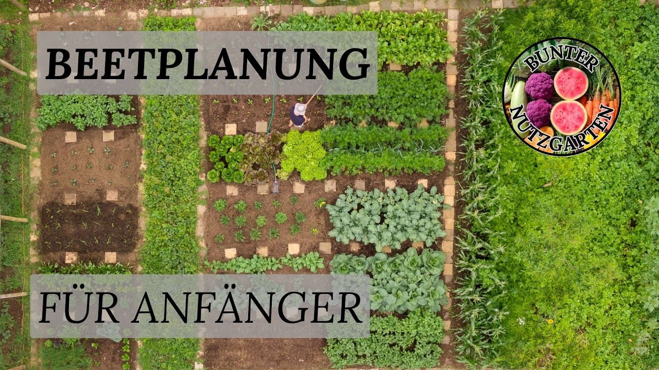 Beetplanung für Anfänger - 5 Schritte zum perfekt geplanten Gemüsebeet