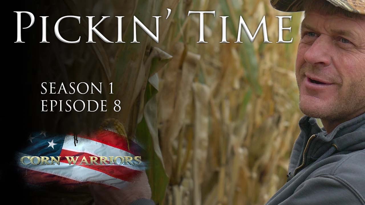Corn Warriors - 108 - Pickin' Time