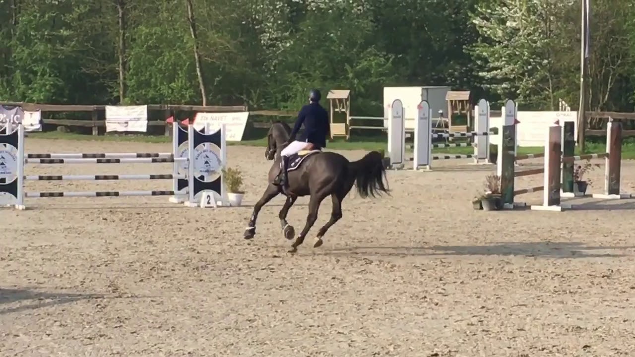 Classic tour m10 Marbais Hyp&eacute;rion de l&rsquo;enclos et Antoine