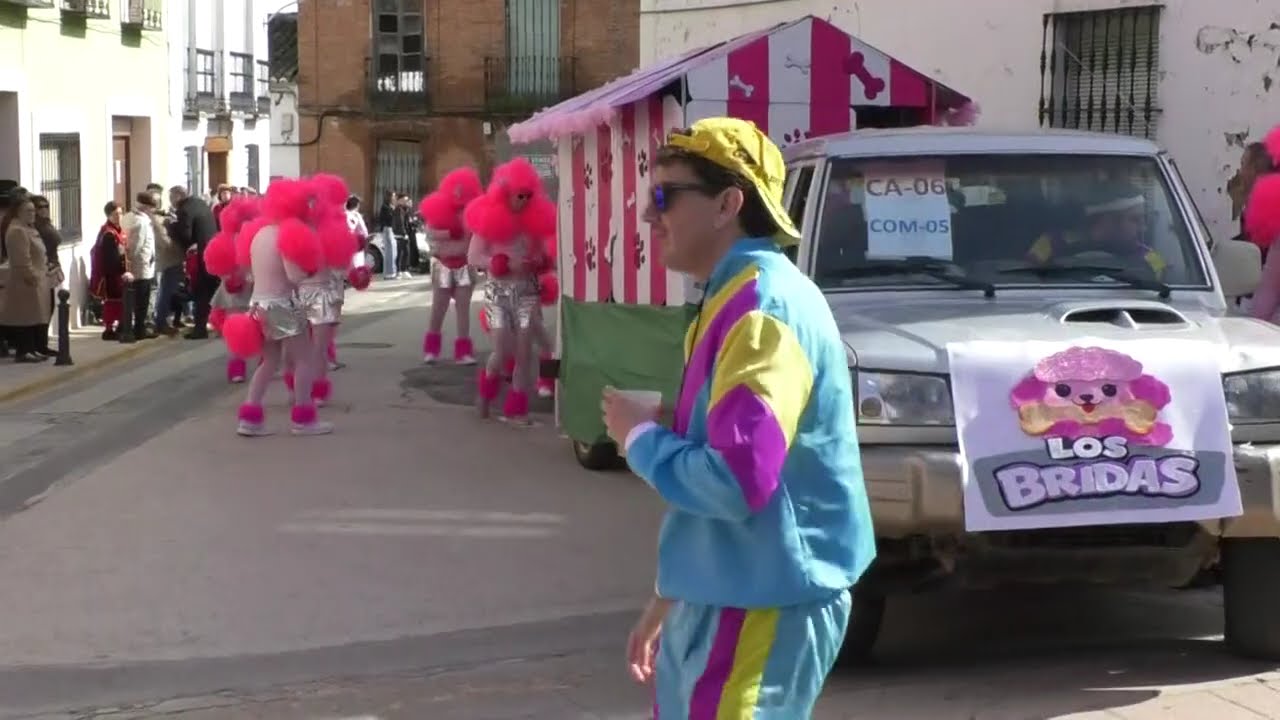 Desfile de Carnaval y Pregón de Santa Cruz de Mudela - 15/02/2026