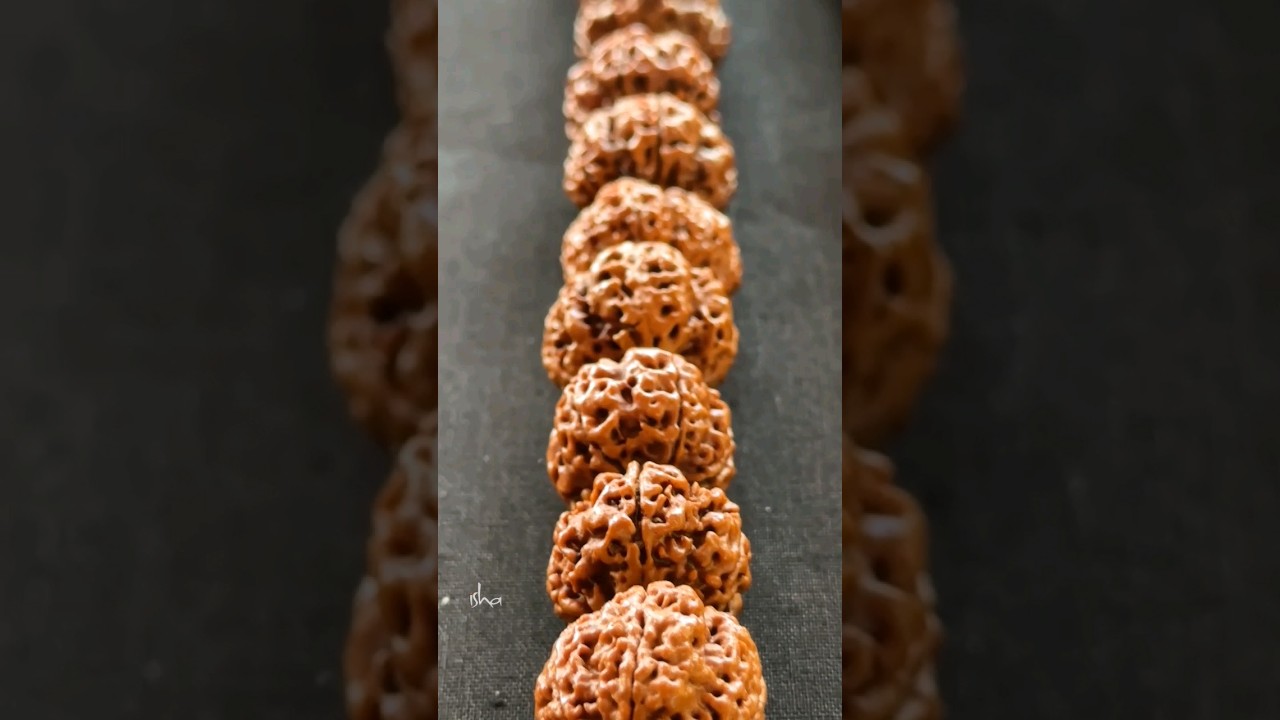A 100,008-Bead Rudraksha Mala for Adiyogi