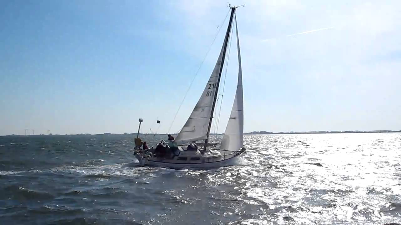 Yogi sailing