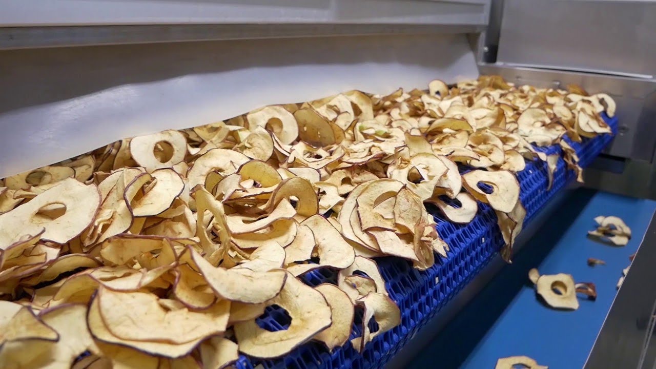 Drying Line 2.0 for Apples Chips