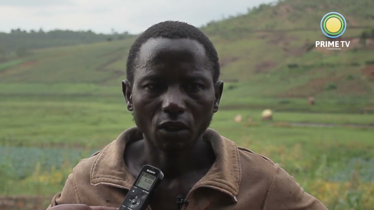 KAYONZA: Abahinzi b'umuceri mu gishanga cya ntaruka barasaba ko babona ubwanikiro