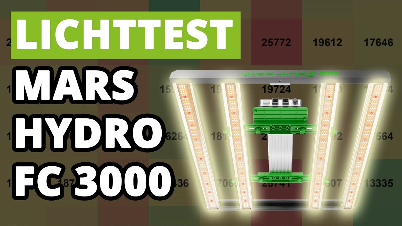 Mars Hydro FC 3000 Lichttest | Samsung EVO Grow LED