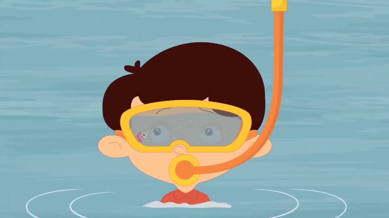 IL CICLO DELL' ACQUA