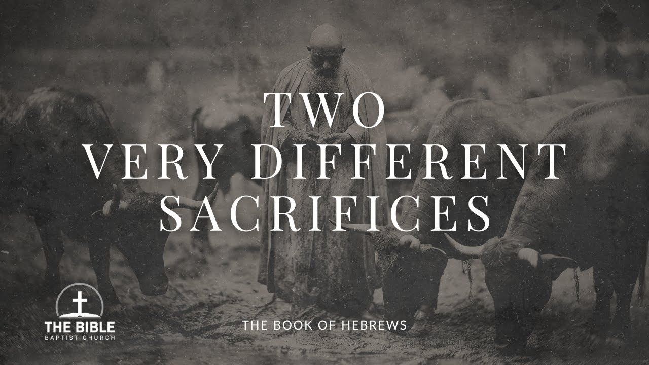 Two Very Different Sacrifices | Hebrews 9 - Lesson 2