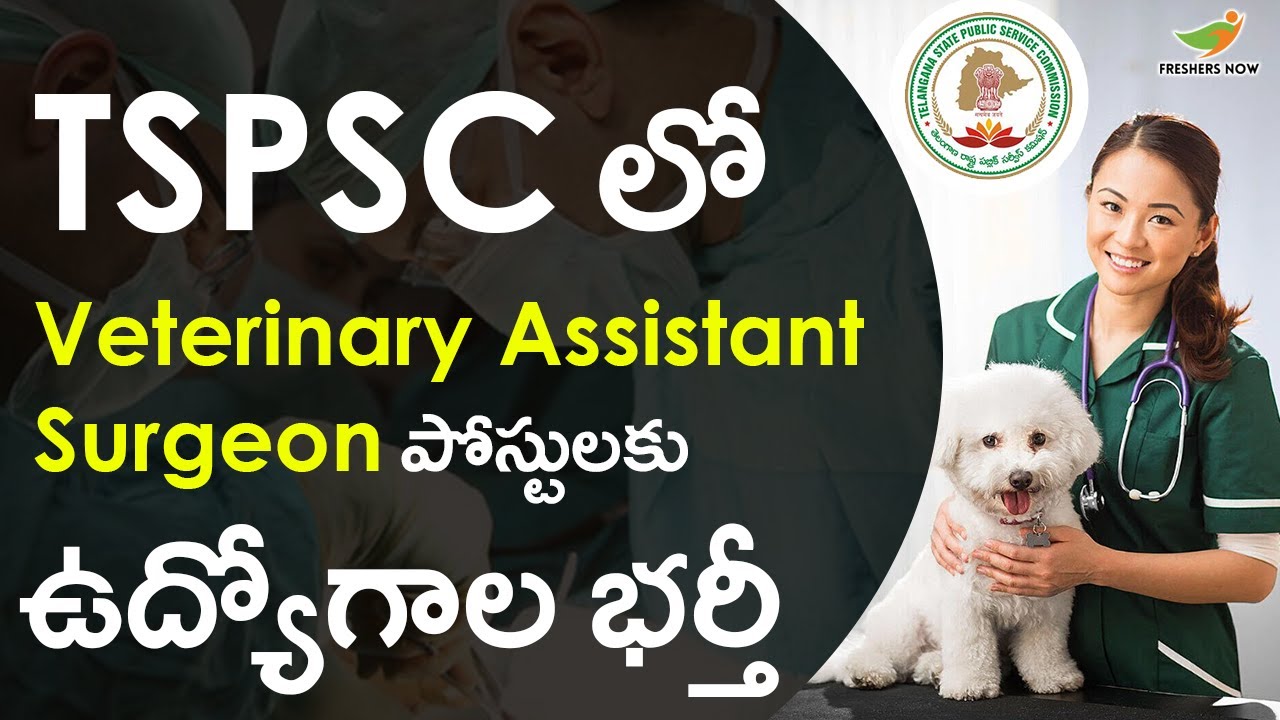 TSPSC Veterinary Recruitment 2023 in Telugu | Veterinary Assistant Surgeon | Selection Process