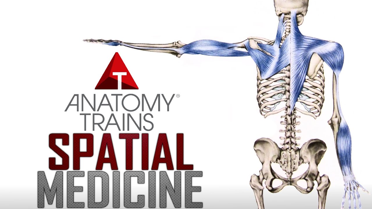 Thomas Myers - Spatial Medicine and Aging