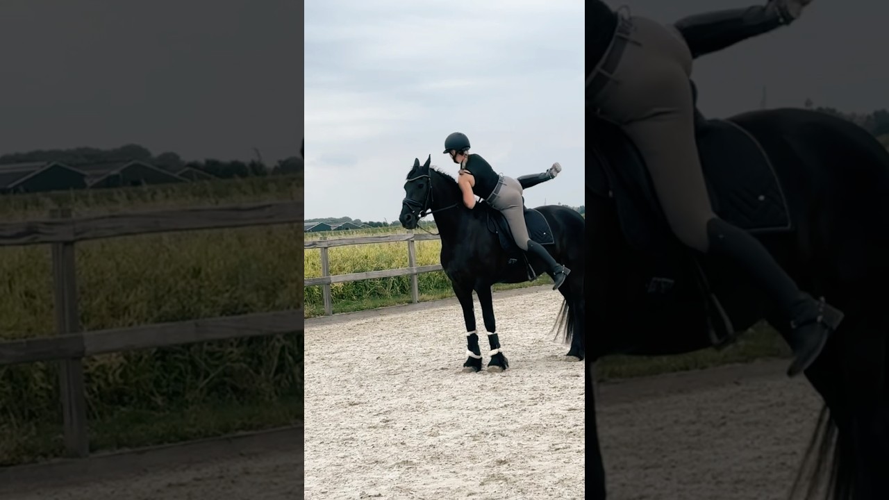 OEPS! 🙊 Toch maar even van Sylke af gegaan&hellip; #paarden #spannend #helikopter #friespaard #paardrijden