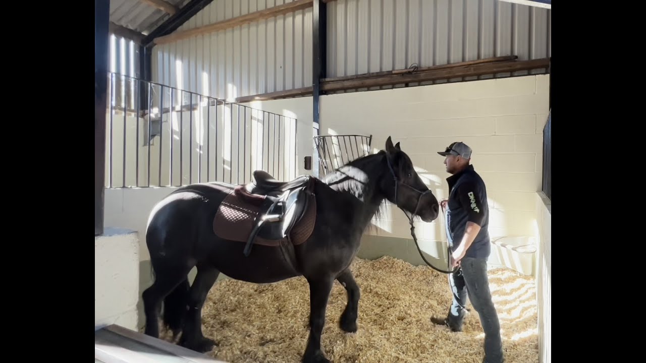 Horse keeps running off with its rider! (Updated audio)