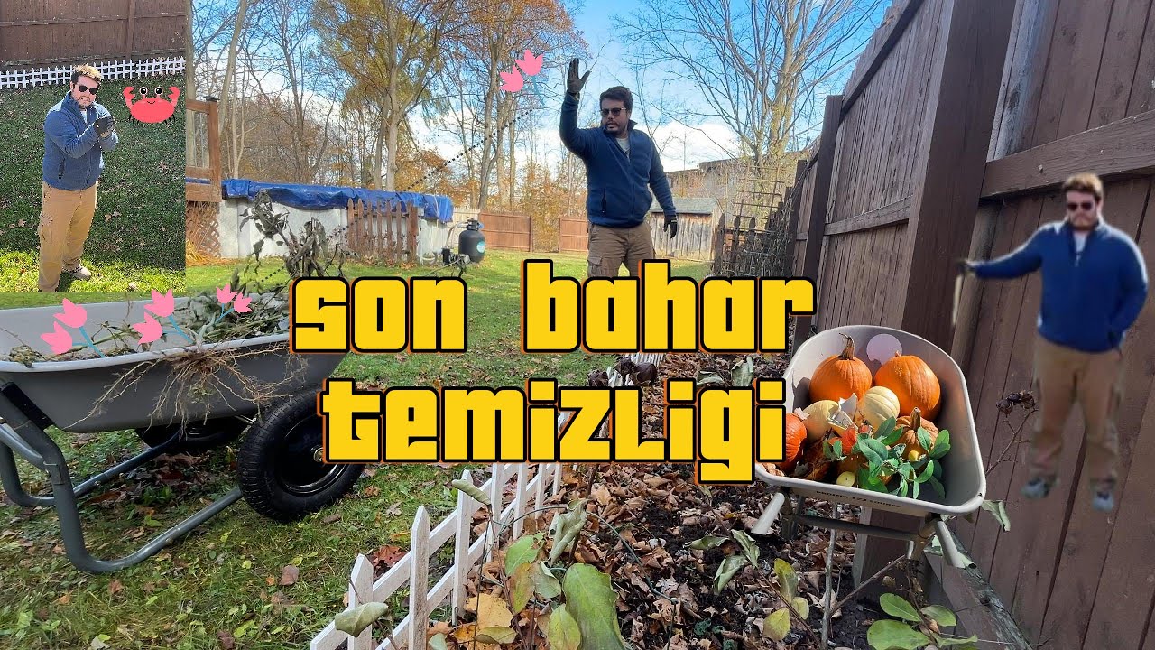 “Sonbaharın Son Dokunuşu 🍁 | Yapraklar, Sincaplar ve Bahçe Temizliği”