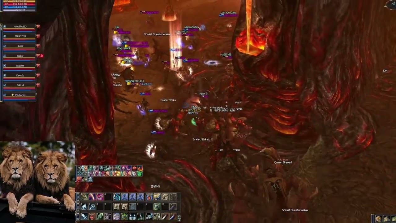 L2Gold.in PVP FOG3/BAIUM 9.01.2026 Same Numbers