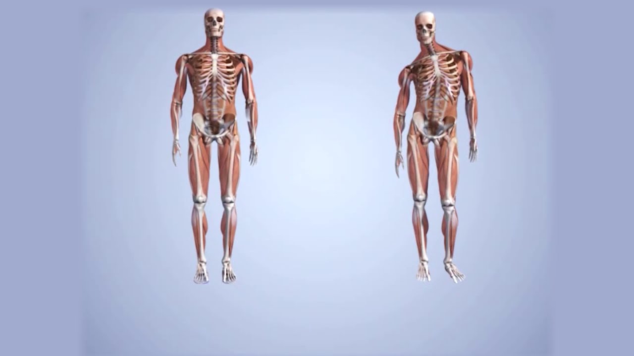 How the feet affect the kinetic chain