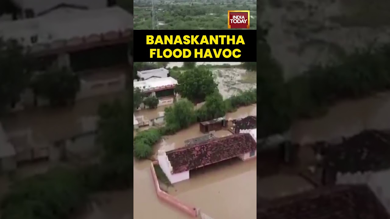 #Heavyrains trigger #floods in #Banaskantha, #Gujarat; #Suigamvillage worst affected | #shorts