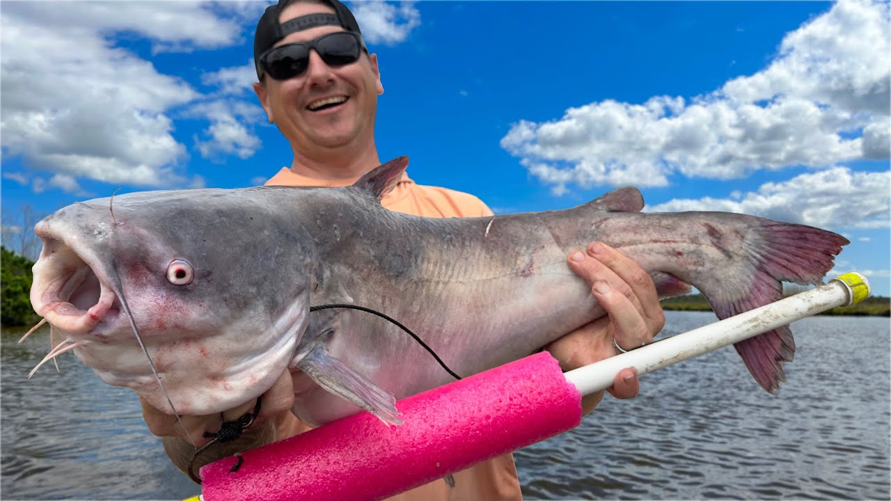 Catching DELICIOUS Louisiana Catfish on Jug Lines ( Catch and Cook )