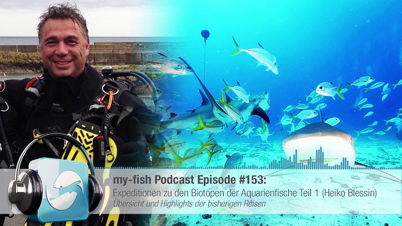 my-fish.org - Expeditionen zu den Biotopen der Aquarienfische Teil 1 (Heiko Blessin)