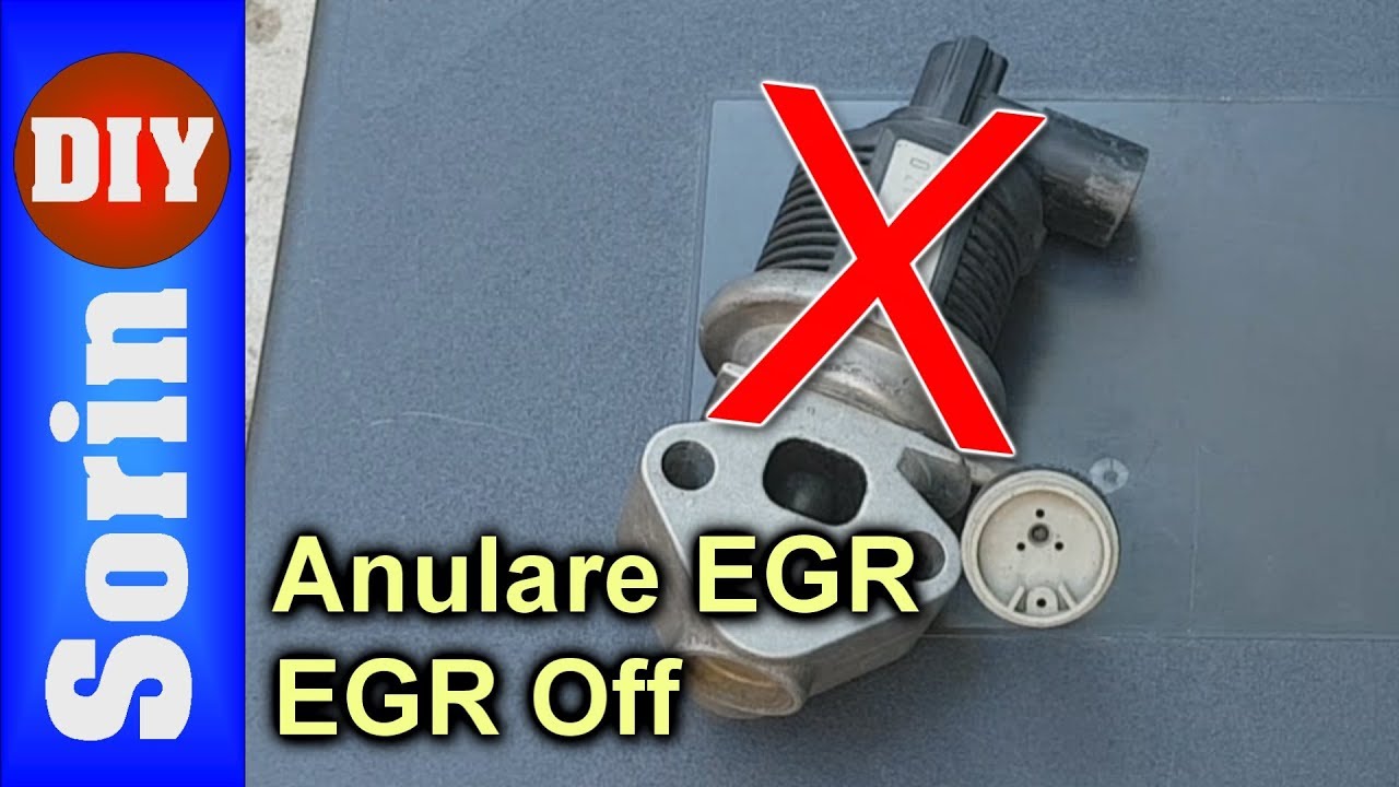 EGR Off - Anulare EGR -- Seat Leon Tuning -- Part 1