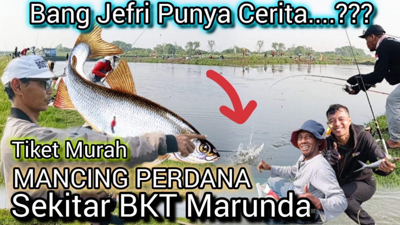 Tiket Murah Mancing Perdana // Ikan Bandeng Dan Mujaer, Diacaranya Bang Jepri, Sekitar BKT Marunda 