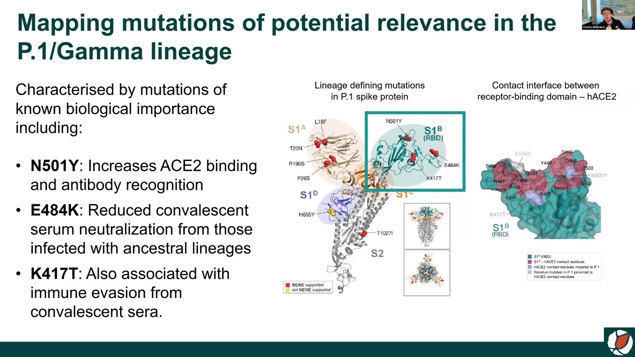 Charlie Whittaker, PhD - The Public Health Impact of Virus Evolution – Insights from Brazil