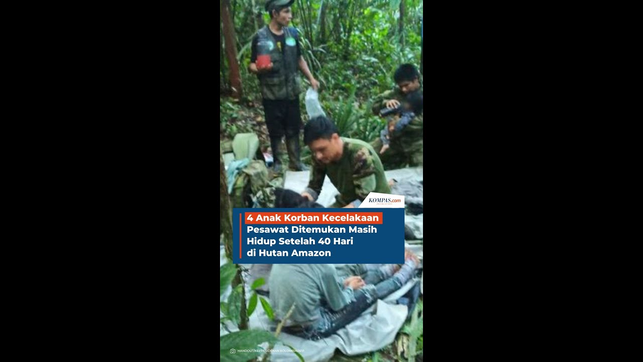 4 Anak Korban Kecelakaan Pesawat Ditemukan Masih Hidup Setelah 40 Hari di Amazon