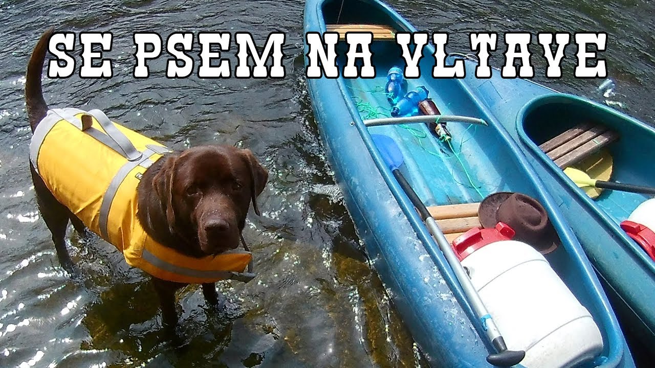 Se psem na Vltavě // On the Vltava river with my dog