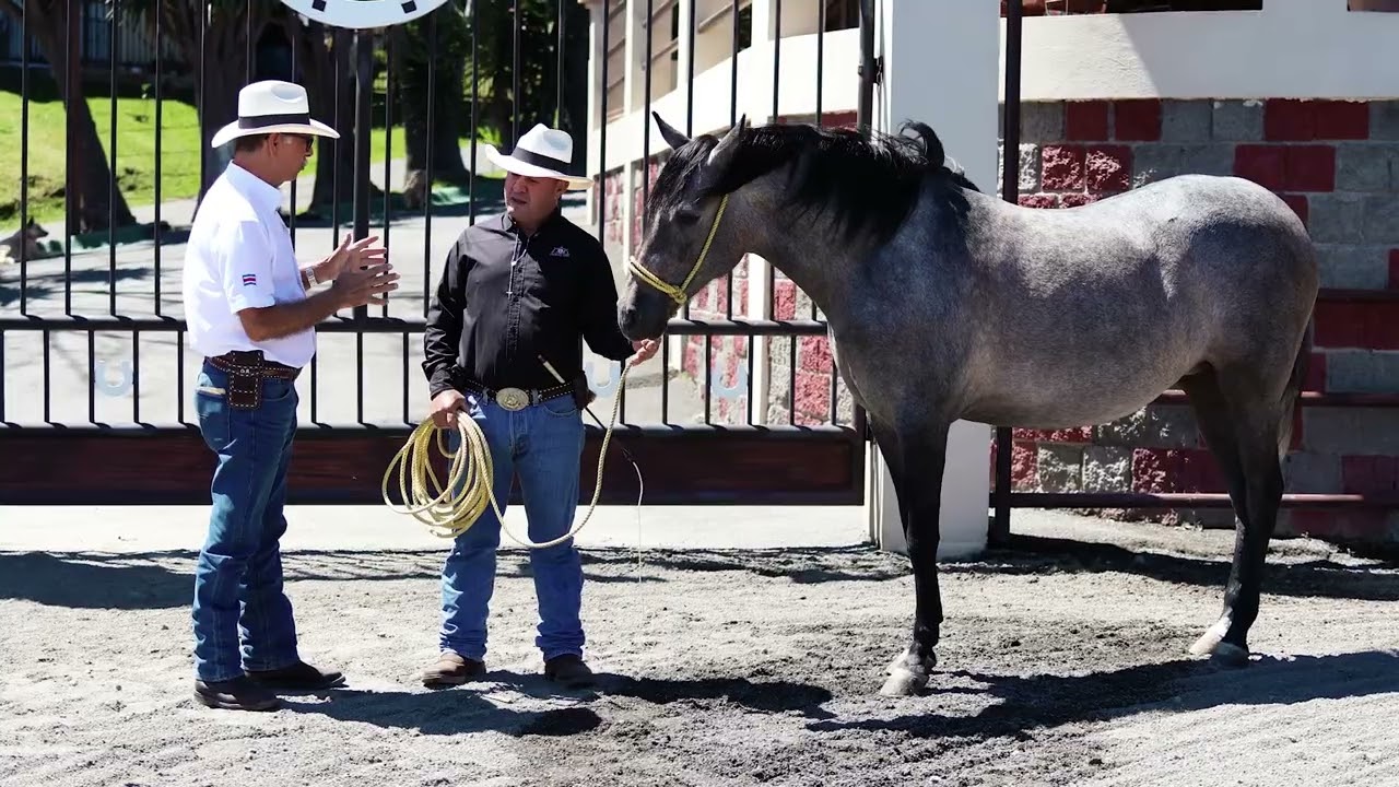 CAMINO A LA NACIONAL 2026 - Capítulo 4🇨🇷