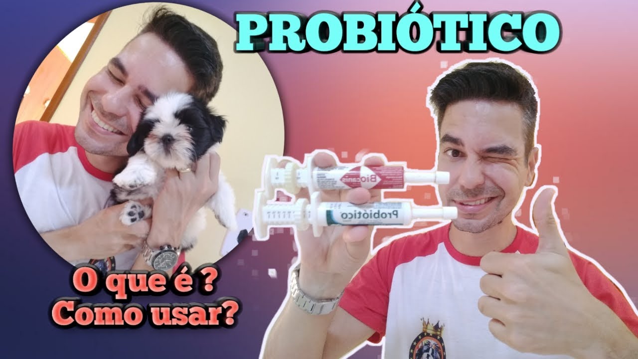 Probiótico , o que é ?